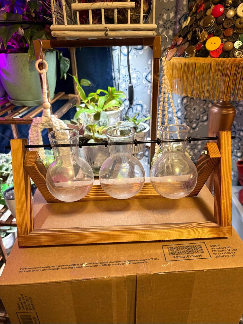 Wood and Clear Glass Triple Bud Vase Set